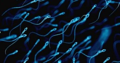 Ini Jumlah Sperma yang Dibutuhkan agar Bisa Hamil