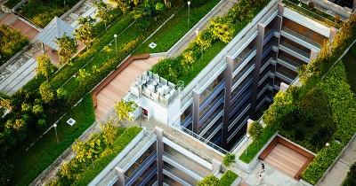 7 Manfaat Rooftop Garden Rumah Jarang Disadari