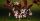 5. Purple-Leaf Sand Cherry