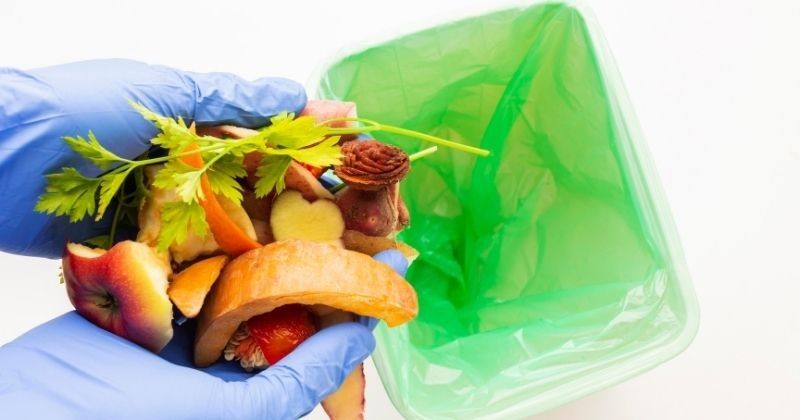 Cara Mengurangi Sampah Sisa Makanan