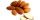 7. Almond meningkatkan kelembutan, rasa manis jumlah ASI