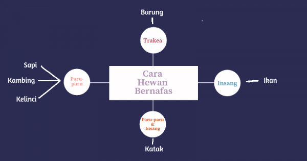 10 Contoh Mind Mapping Bahasa Indonesia Popmama Com