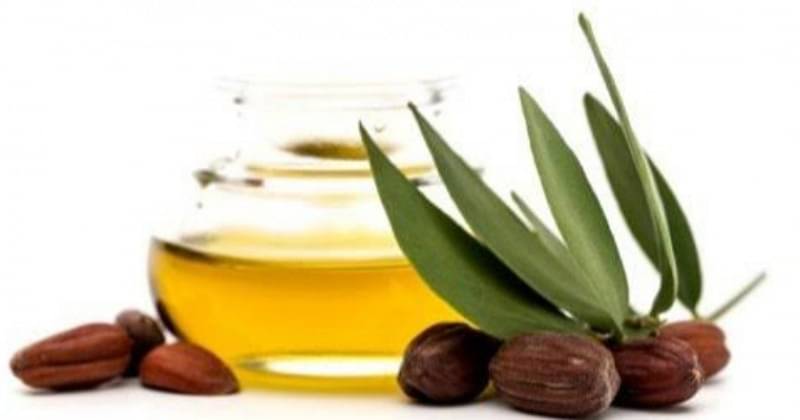 5 Manfaat Jojoba Oil Untuk Kecantikan | Popmama.com