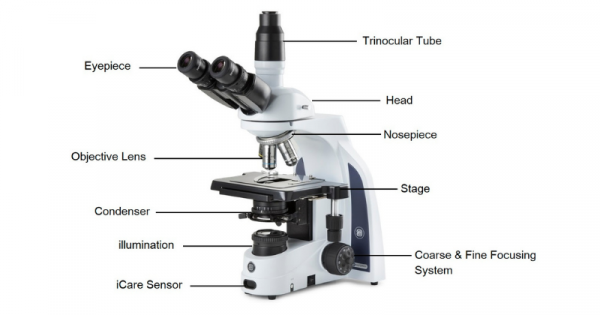 bagian dari mikroskop yang berfungsi untuk menjepit preparat agar tidak bergeser adalah