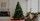 6 Negara Ini Pu Tradisi saat Menghias Pohon Natal