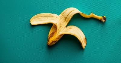 5 Manfaat Kulit Pisang Tanaman Hias
