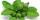 1. Daun jambu meredam radikal bebas