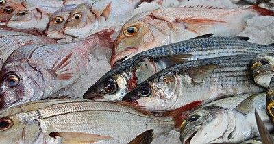 5 Jenis Ikan Kaya Asam Lemak Omega-3 Ibu Menyusui