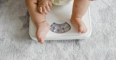 Pertambahan Berat Badan Bayi Usia 0-12 Bulan Baik
