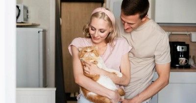 10 Cara Melatih Kucing agar Patuh Tidak Nakal