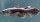 4. Ikan coelacanth