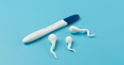 Benarkah Minum Sperma Bisa Meningkatkan Peluang Kehamilan