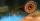 1. Lamprey