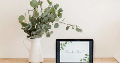 5 Cara Merawat Tanaman Eucalyptus dalam Ruangan