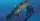 6. Ikan coelacanth