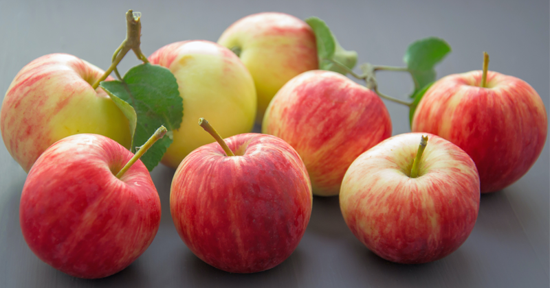 6. Beberapa jenis buah termasuk apel, pir, alpukat