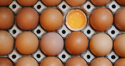 Resep Makanan Berbahan Dasar Telur Pendukung Program Hamil