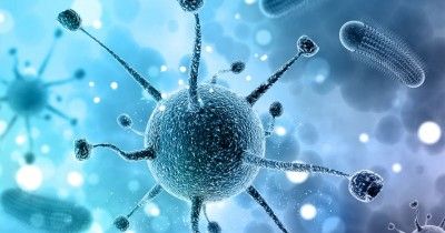 Pengertian Henipavirus Baru Mulai Menyebar China, Waspada