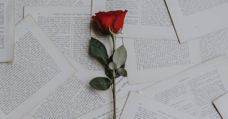 35 Kata Kata Ali Bin Abi Thalib Tentang Cinta Dalam Diam Popmama Com