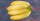 4. Bingka kentang pisang