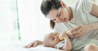 7 Rekomendasi Susu Formula Soya Bayi 0-6 Bulan