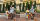 Akhir ke Jepang, Potret Xabiru Rachel Ven Disneyland
