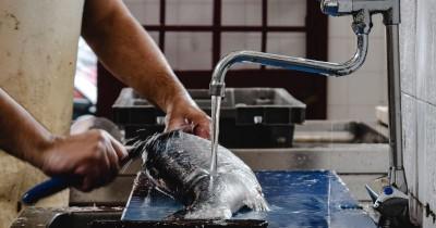 6 Resep Menu Buka Puasa Berbahan Dasar Ikan Ibu Hamil