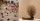 1. Pameran terbesar ini mencakup sejumlah karya ikonis dari Chiharu Shiota