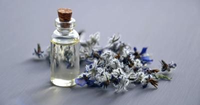 7 Rekomendasi Minyak Telon dengan Aroma Lavender, Cegah Gigitan Nyamuk