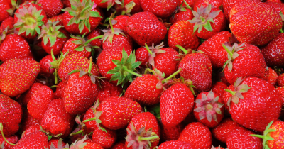 Apa itu Strawberry Generation? Ini Penjelasan dan Karakteristiknya