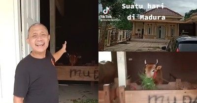 Viral di TikTok, Rumah Mewah di Madura Jadi Kandang Sapi