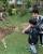 7. Senang bermain hewan
