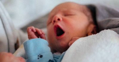 12 Rekomendasi Susu Bayi Prematur Beserta Harganya