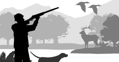 5 Dampak Negatif dari Perburuan Hewan Liar